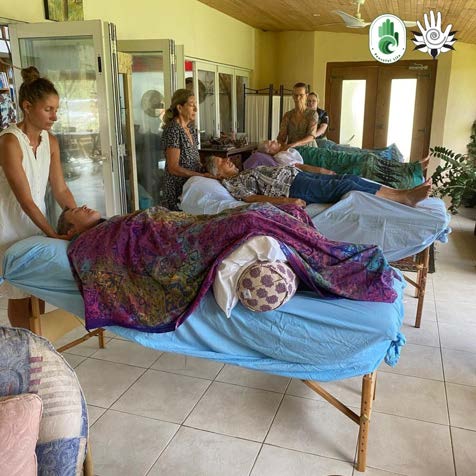 Reiki Healing Session